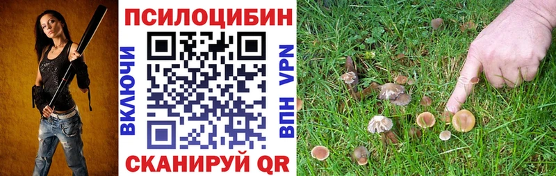 Галлюциногенные грибы ЛСД  Купить где  Болгар 